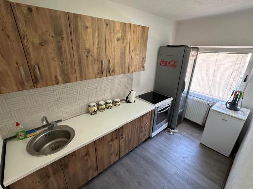 eine Küche mit einer Spüle und einem Kühlschrank in der Unterkunft Guesthouse Mema in Sarajevo