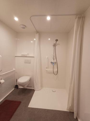 a white bathroom with a toilet and a shower at CRYSTAL HOTEL in Claye-Souilly