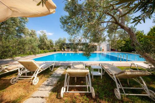 a pool with two chairs and a table next to it at Assos Altın Hotel in Behramkale