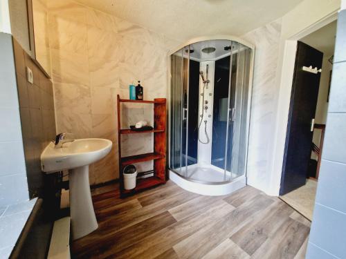 ein Bad mit einer Dusche und einem Waschbecken in der Unterkunft Le Petit Hangy in Fresse-sur-Moselle