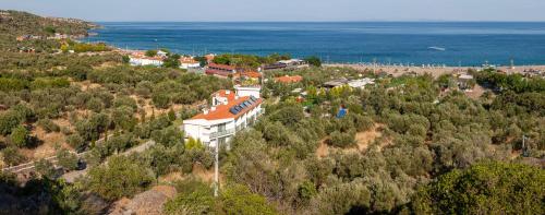 a building on a hill next to the ocean at Assos Altın Hotel in Behramkale