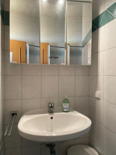 een badkamer met een wastafel, een toilet en een spiegel bij Apartment Sommer am Faaker See in Faak am See