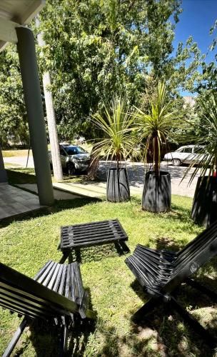 two benches in a park with two palm trees at CASA MORITA in Tandil