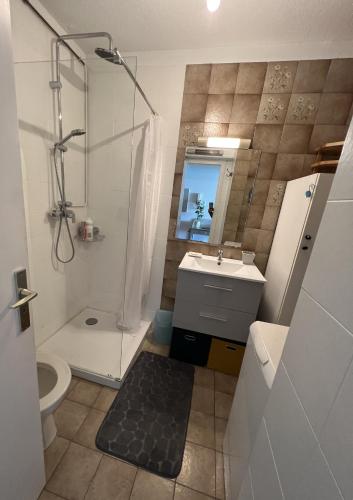 La salle de bains est pourvue d'une douche, de toilettes et d'un lavabo. dans l'établissement Azur Bleu, à Villeneuve-Loubet