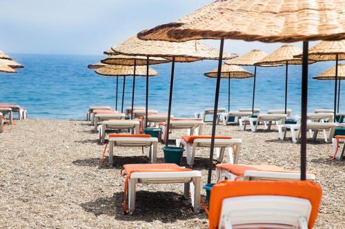 a group of chairs and umbrellas on a beach at Assos Altın Hotel in Behramkale