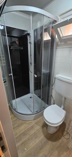 ein Bad mit einer Dusche und einem WC in der Unterkunft MBL Apartments Summer in Rezi
