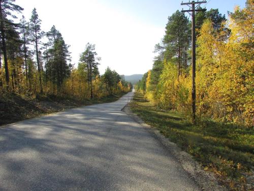 an empty road in the middle of a forest at Lemmenjoen Lumo - Nature Experience & Accommodation in Lemmenjoki