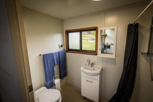 a bathroom with a toilet and a sink and a window at Sithuri Tiny House in Windeyer