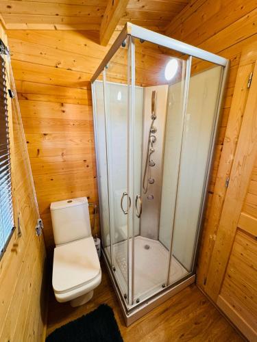 a bathroom with a shower and a toilet in a room at VilleLay Alojamento VNG in Vila Nova de Gaia