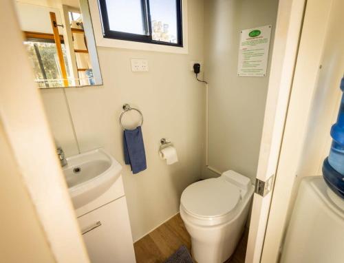a small bathroom with a toilet and a sink at Tiny House Farmstay at Dreams Alpaca Farm - A Windeyer Outback Experience in Windeyer
