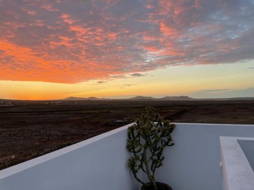 a plant on a ledge with a sunset in the desert at CASA MIRABEL in Villaverde