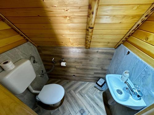 a bathroom with a toilet and a sink at Krajina IV & jacuzzi in Vlasic