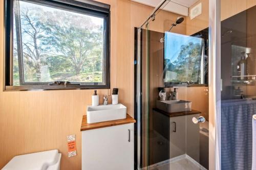 een badkamer met een douche, een wastafel en een raam bij Tiny Inja 2 in Comleroy