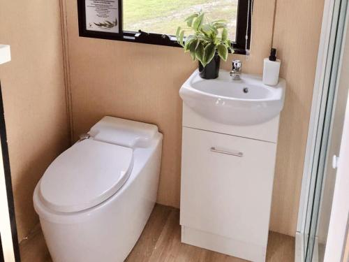 a small bathroom with a toilet and a sink at On the Rocks in Lismore