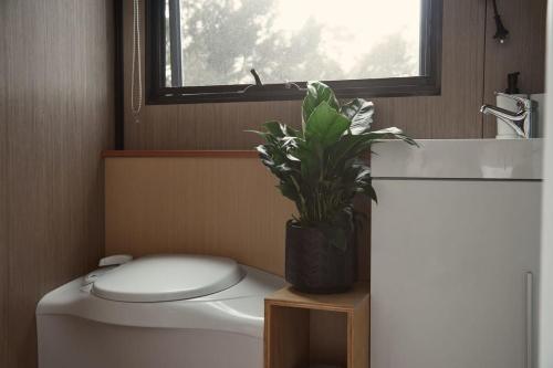 baño con aseo, lavamanos y planta en Tiny Towrang, 