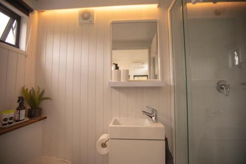 a bathroom with a toilet and a sink and a shower at Hill Creek Tiny House in Perwillowen