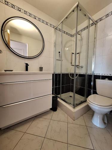 une salle de bain avec douche, toilettes et miroir dans l'établissement ROCADE DE COLLIOURE appt T4 avec grande terrasse et garage, à Collioure