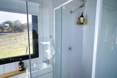 uma casa de banho com um chuveiro, um WC e um lavatório. em Little Argyle Tiny House em Coonabarabran