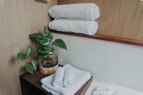 a bathroom with towels and a plant on a shelf at Wilderness View in Mooloolah