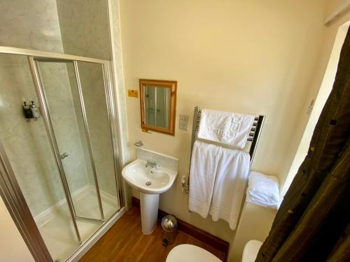 a bathroom with a glass shower and a sink at The Globe Inn in Kingsbridge