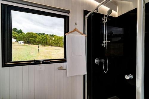 a bathroom with a shower stall and a window at The Meadows Tiny House in Macclesfield