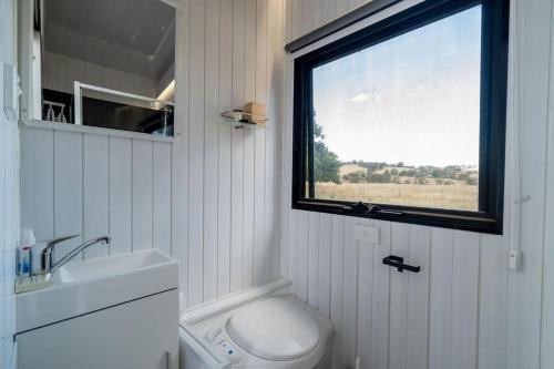 La salle de bains est pourvue de toilettes, d'un lavabo et d'une fenêtre. dans l'établissement JBJK Homestead, à Yarck