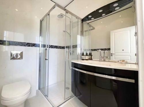 une salle de bain avec une douche, des toilettes et un lavabo dans l'établissement Beautifully renovated 3 bedroom apartment in the heart of Cannes, à Cannes