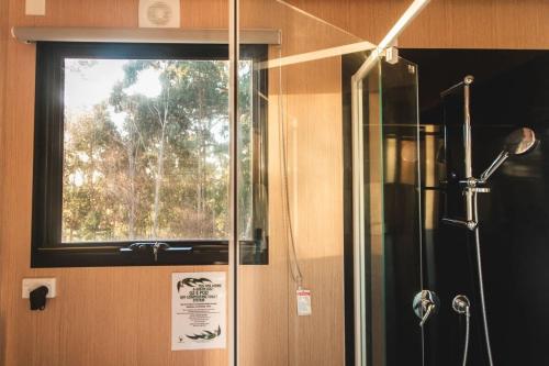 a shower in a bathroom with a window at Pirates Retreat in Eaglehawk Neck