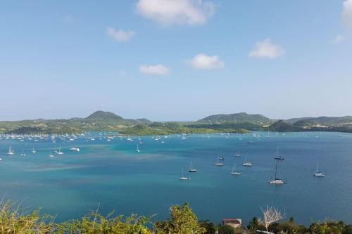 a group of boats in a large body of water at Studio du PARADIS in Le Marin