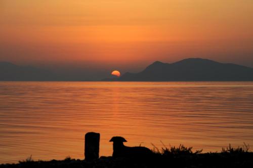 Φυσικό τοπίο κοντά σε αυτό το διαμέρισμα