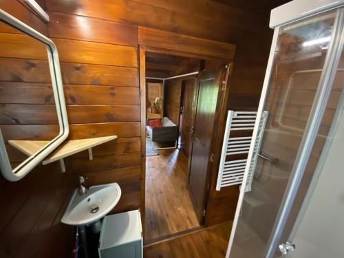 a bathroom with a sink and a shower in a room at Mon Chalet dans les bois in Villard-Saint-Sauveur