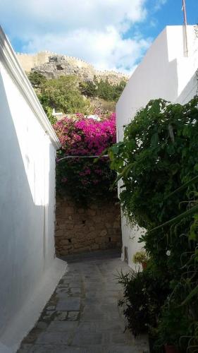 Κήπος έξω από το Vassos Apartments