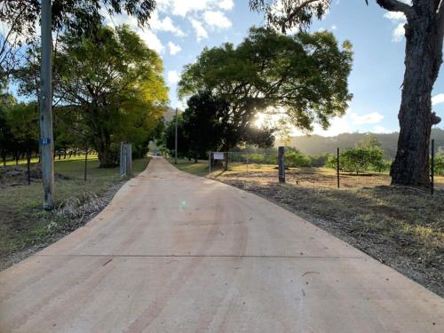 an empty road in a park with trees at Tiny House Elevation 156 in Amamoor