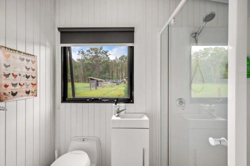 a bathroom with a toilet sink and a window at Clarence Farm Stay in Maclean