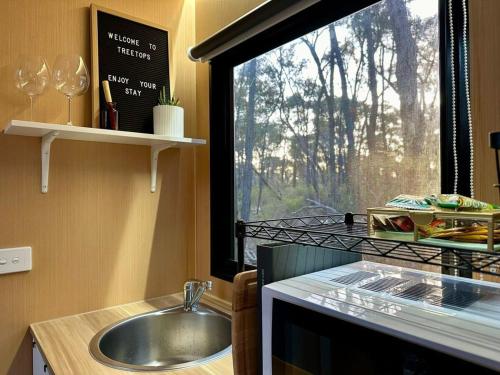 莫爾敦的住宿－Treetops Farmstay 1，厨房设有水槽和窗户。