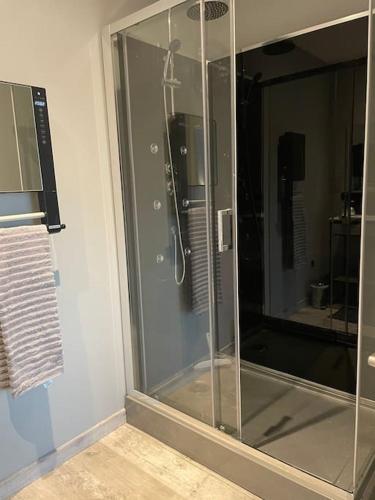 - une cabine de douche en verre dans la salle de bains dans l'établissement Le studio urbain qu’il vous faut !, à Saint-Dizier