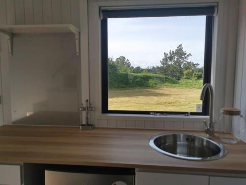 eine Küche mit einem Waschbecken und einem Fenster in der Unterkunft Sweet Hart 1 in Tamahere