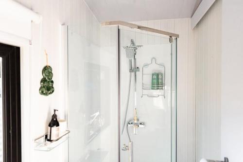 a shower with a glass door in a bathroom at Muddy Hill Moments in Arrowtown
