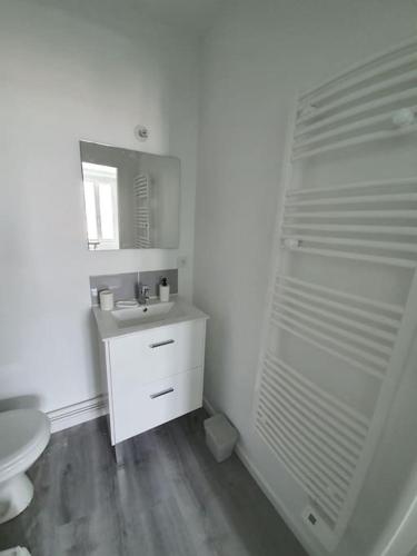 une salle de bain blanche avec des toilettes et un lavabo dans l'établissement Sully sur Loire : appartement centre ville, à Sully-sur-Loire
