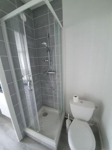 une salle de bain avec toilettes et douche en verre dans l'établissement Sully sur Loire : appartement centre ville, à Sully-sur-Loire