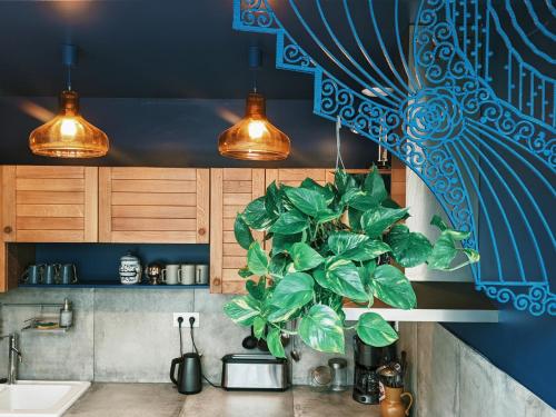 une cuisine avec deux lumières et une plante en pot dans l'établissement La Maison du Cosquer, à Camaret-sur-Mer
