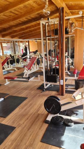a gym with a lot of pilates equipment at Odmaraliste Kod Miće Apartman 4 in Krušar