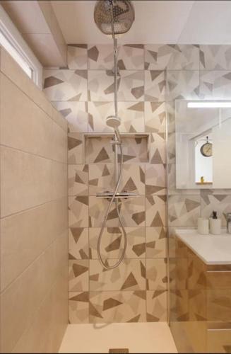 une salle de bain avec douche et lavabo dans l'établissement L'Aindus de Brou- parking privé- RDC, à Bourg-en-Bresse