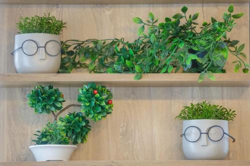 two shelves with potted plants and glasses on them at Over the Messinian Plain in Kalamata