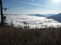 a view of a field of clouds in the mountains at Romantische Ferienhütte Nationalpark Kalkalpen, sonnig, 2 Schlafzimmer, Wlan in Kleinreifling