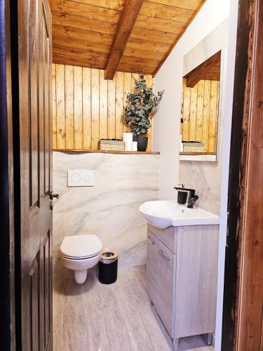 a bathroom with a toilet and a sink at Misha's House in Porumbacu de Sus