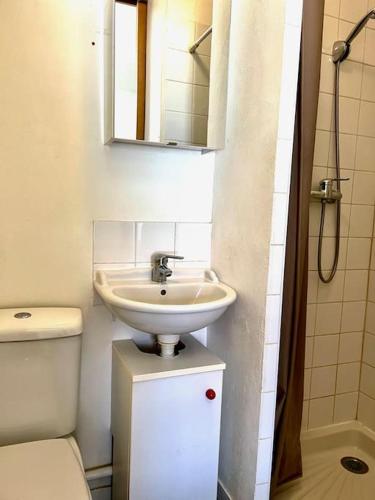 une salle de bain avec un lavabo, des toilettes et un miroir dans l'établissement Miroir de la mer, appartement vue mer pied dans l eau, à Fréjus