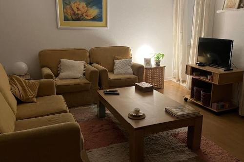 a living room with a couch and a coffee table at Vouga Lodge in São Pedro do Sul