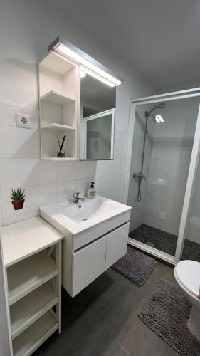 a white bathroom with a sink and a shower at Vouga Lodge in São Pedro do Sul