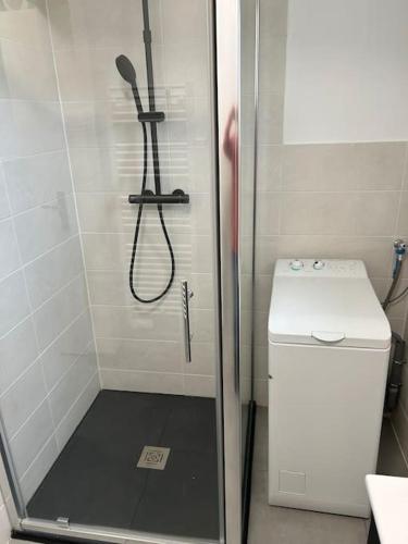 a shower with a glass door next to a toilet at Maison Au Bout Du Pre in Goulven